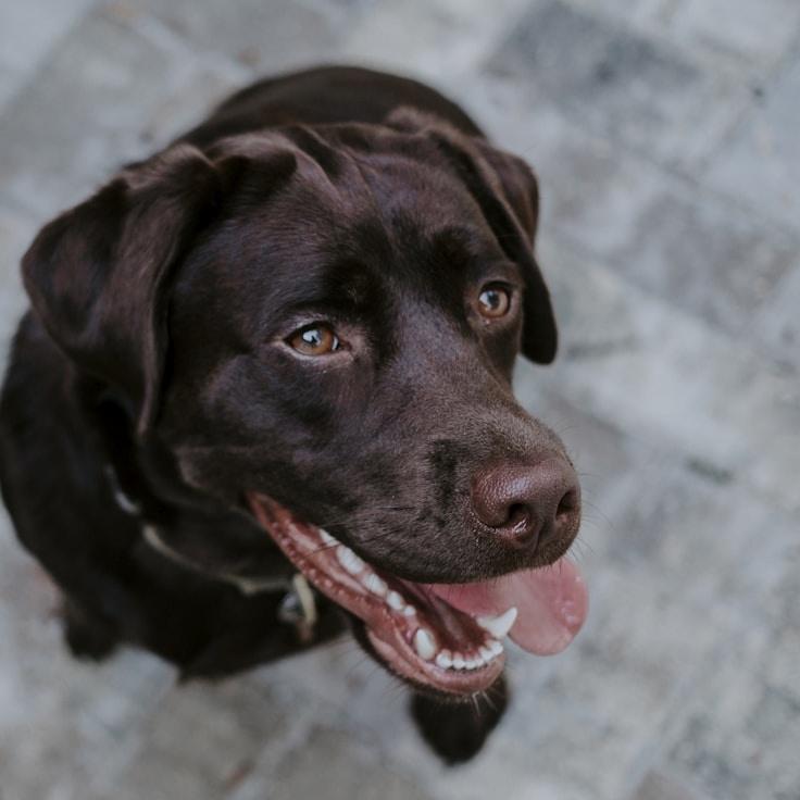 School environment for families in Florence, Italy